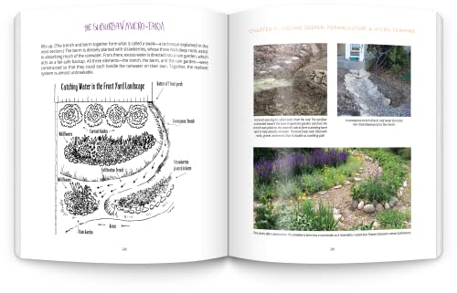 The Suburban Micro-Farm: Modern Solutions for Busy People