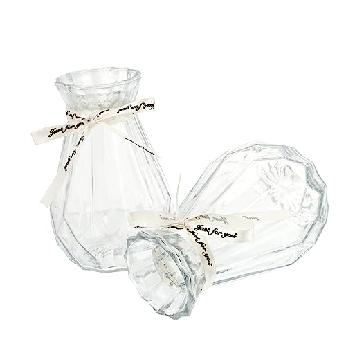 Alipis 1 Juego 1 Juego De Jarrones De Vidrio para Manualidades Hidropónicas Jarrón De Pared Jarrón Plantas Hidropónicas Y De Piso De 2 Piezas