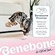 Benebone Welpen 2er-Pack Fishbone-Kauspielzeug, weicher für sanfte Kauer, echter Jack-Lachs