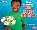 How to Make a Wind Speed Meter: A 4D Book (Hands-On Science Fun)