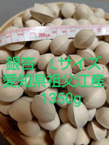 銀杏 愛知県祖父江産 秋の味覚 1350ｇのサムネイル