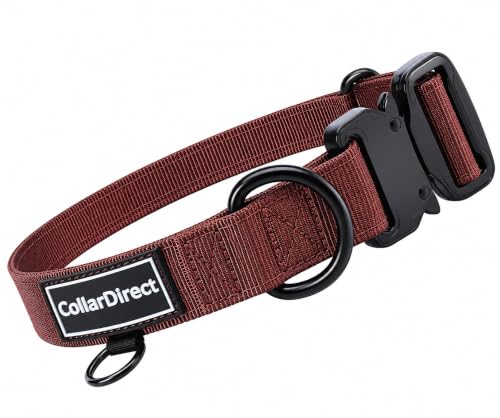 Image of Heavy Duty Waterproof Dog Collar, Double-Layered Nylon (Rust, 11-15) | Adjustable heavy-duty collar for medium /large dogs; rugged double-layered nylon built to handle active, daily wear and tear