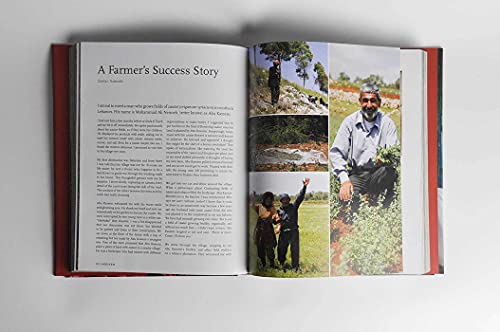 Mouneh: Preserving Foods for the Lebanese Pantry