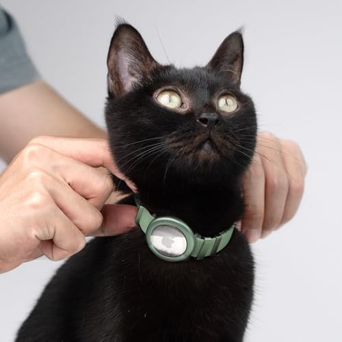 BuddyArmor Safety Cat Collar - U.S. IDA Gold Award Design, Stretchy Elastic Quick Release Non Breakaway Cat Collar Light Weight for Kitten All Small Medium Large Cats (Olive, M (7.8-15.7 inch)) by BuddyArmor - Used condition - Image 7