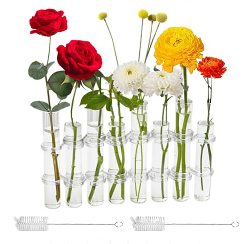 8PCS Test Tube Vases Decorative Glass Flower Vase Hinged Flower Vases Planter Flower Arranging Container Hydroponic Flower Holder Decor with 15PCS Hooks and 2PCS Brushes (VASES-B)