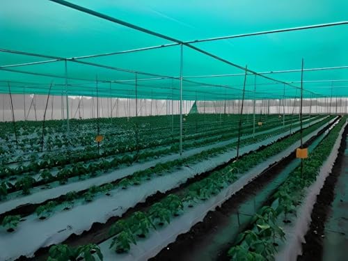 Image of SWADESHIWALA UV Stabilized Agro Green House Net Garden Shadenet Multipurpose - 50% 5mx25 m (16ft x 82ft) - Green (5X25M)