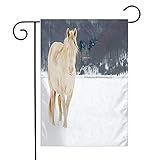 Bandera Ojos De Caballo Albino Animal Azul Libertad Con En Ecuestre Nieve Animales Vida Silvestre Naturaleza Ojo Bandera Pirata Durable Banderas Decorativas, Para Festival, Boda, 30x45cm