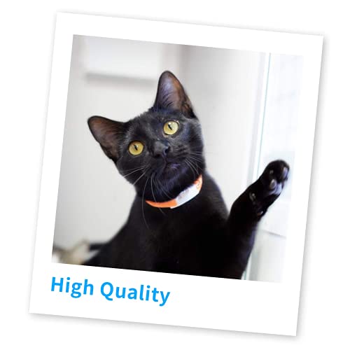 Compatible Toner Printer Cartridge Replacement For Brother Tn450 Tn-450 Tn420 Tn-420 (2 Black) For Hl-2270Dw Hl-2280Dw Hl-2230 Hl2240 Mfc-7360N Mfc-7860Dw Dcp-7065Dn Intellifax 2840 #TOP4