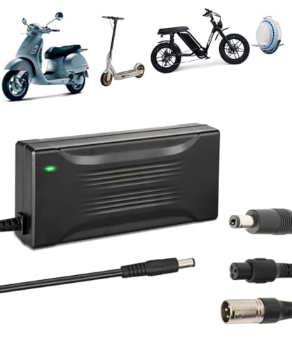 54.6V 4A Fast Charger for Electric Wheelchair