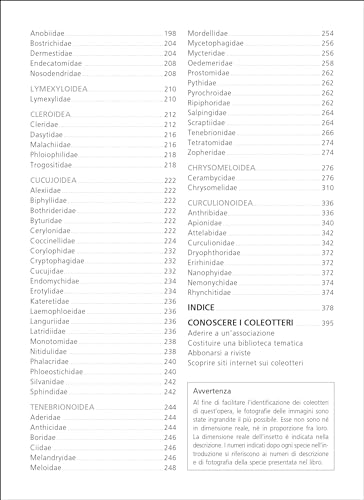 Guida Ai Coleotteri D'europa. Ediz. A Colori - 8