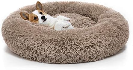 soft puppy beds