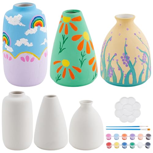 WEBEEDY Juego de 3 juegos de pintura de cerámica para adultos, kit de pintura de cerámica sin pintar, jarrón blanco para pintura artística, fiesta, cumpleaños, día de la madre, regalo, actividad