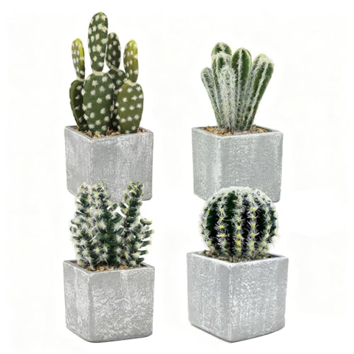 Petites plantes succulentes réalistes pour décorer une table de salon - 4