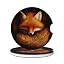 Red Fox Sleeping