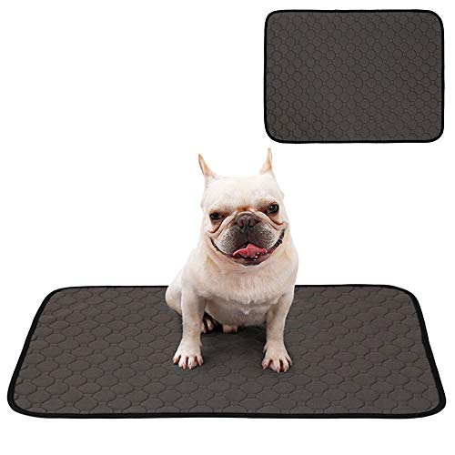 FREESOO Empapadores Perros Pañales Perro Gato Almohadillas de Entrenamiento para Mascotas Cachorros Alfombra Impermeable Lavable Reutilizables Absorbente Manta Cojín 3 Tamaños