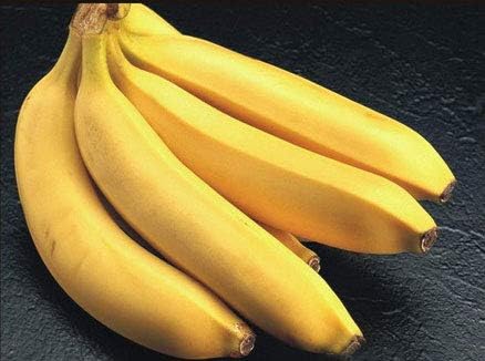 1 Bulb of Musa (AAA Group) 'Kluai HOM Thong', Pisang Ambon Kuning', Gros Michel Banana Plant