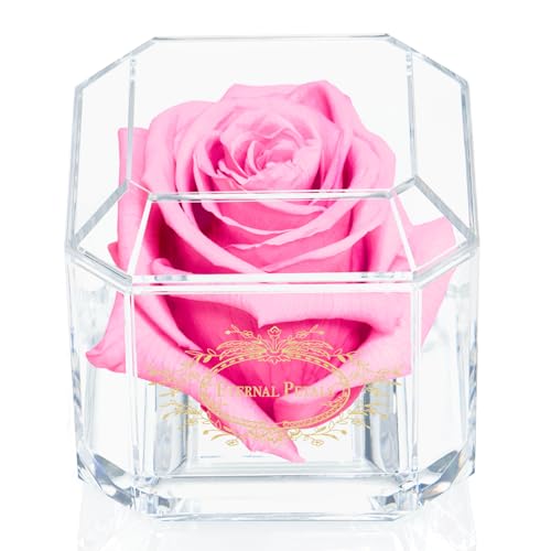Eternal Petals 100% Real Rose – Handmade in London | Forever Rose, Sentimental Gifts - Gold Solo (Pink)