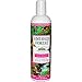EMERALD FOREST Moisturizing Shampoo 12 OZ