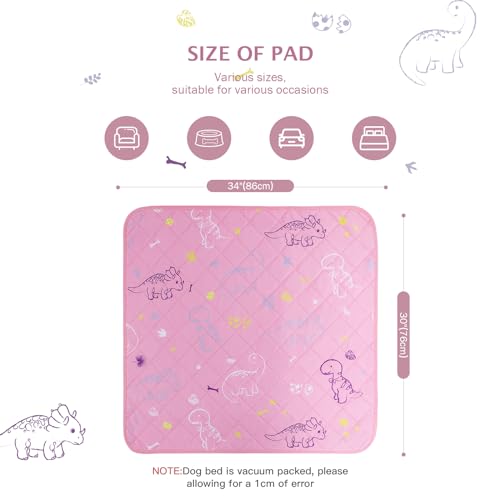 Image of IEUUMLER Washable Pee Pads for Dogs, 2 Pack Non-Slip & Waterproof Whelping Pad, Reusable Puppy Potty Training With Fast Absorbent for Playpen EU007 (Pink Dinosaur, 30 inchX34 inch-2pcs)