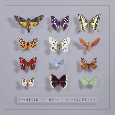 LEPIDOPTERA