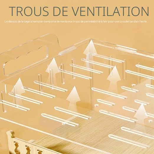 Cages Hamster Hamster Syrien Cage Hamster Nain Acrylique Transparent Petit Animal Cage Tout Bois Massif, pour Cochons d'Inde, Souris, Hamsters Nains Russes Cachette 35 × 26 × 28 cm (Blanc)