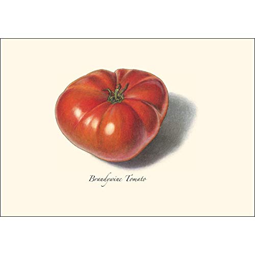 Image of Earth Sky + Water - Tomato Assortment Notecard Set - 8 Blank Cards with Envelopes (4 each of 2 styles)