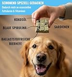 Superfood Hundekuchen Riegelbox 10× Super Sardine – Brokkoli, Spirulina, Kokosöl & Bierhefe – Proteinreich, glutenfrei & ofengebacken – Für Fell, Haut & Immunsystem – RiNa leckerer Hundekuchen