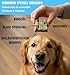 Superfood Hundekuchen Riegelbox 10× Super Sardine – Brokkoli, Spirulina, Kokosöl & Bierhefe – Proteinreich, glutenfrei & ofengebacken – Für Fell, Haut & Immunsystem – RiNa leckerer Hundekuchen