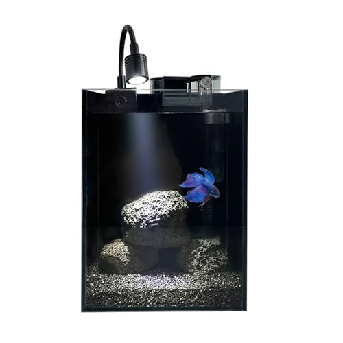 AQUA DAREN 1.5Gallon Glass Aquarium Nano Small Fish Tank Start Kit with Adjustable Filter,LED Light for Small Fish,Shrimp,or Betta 22 * 16 * 16cm