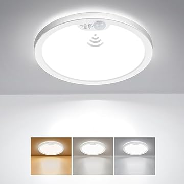 motion activated light fixture