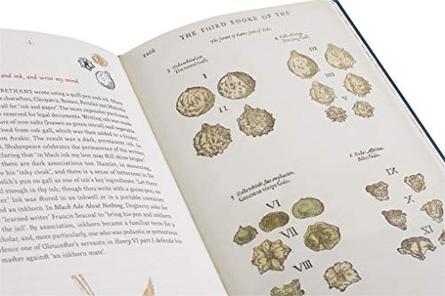 A Shakespeare Motley: An Illustrated Compendium
