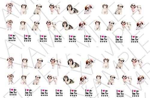 Shih Tzu Dog Water Nail Art Transfers Stickers Decals - Set of 56 - A1301
