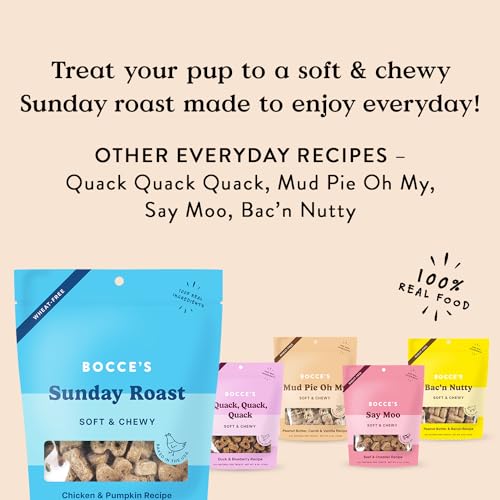 Bocce's Bakery Oven Baked Sunday Roast Treats for Dogs, Wheat-Free Everyday Dog Treats, Made with Real Ingredients, Baked in The USA, All-Natural Soft & Chewy Cookies, Chicken & Pumpkin Recipe, 6 oz