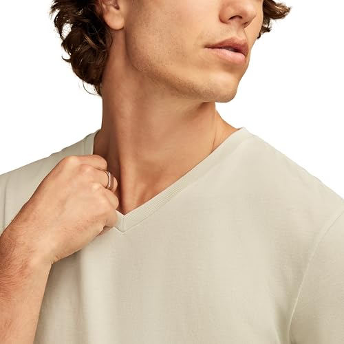 Image of Lucky Brand Men's Venice Burnout V Neck Tee