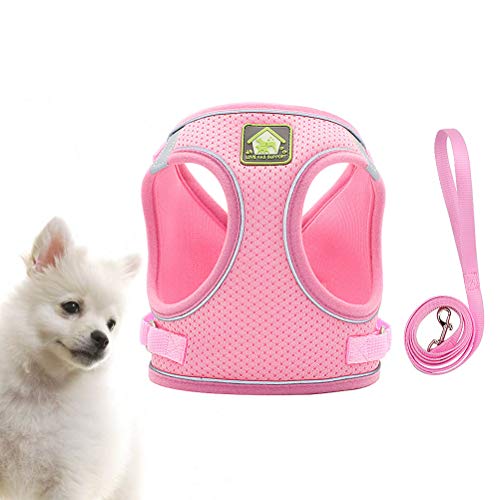 Acessórios para coleira de cachorro- Conjunto de colete e trela para cães Arreios para animais de es