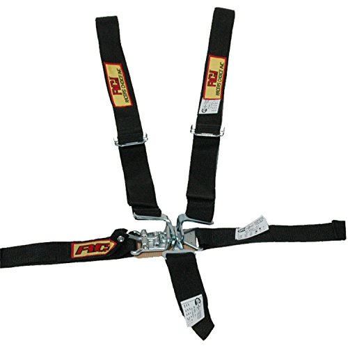 RCI 9410D 2"" 5 Pt Jr Complete Belt