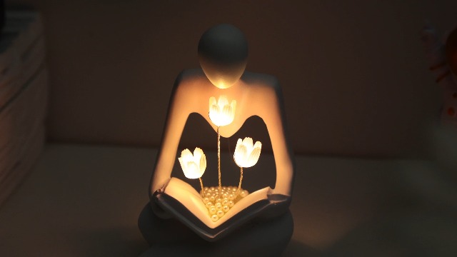 White Elephant Christmas Gifts for Adults,Tulip Night Light