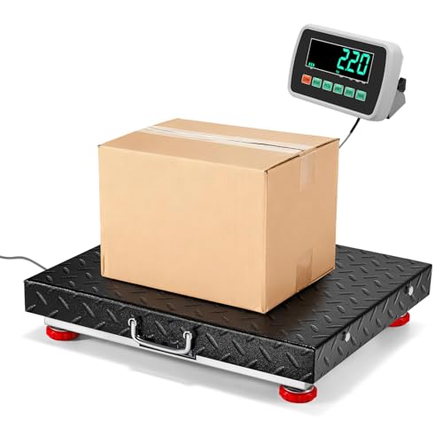 Báscula de piso Bonvoisin capacidad 660 lbs acero inox miniatura 1