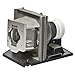 Optoma EzPro 770 Projector Lamp