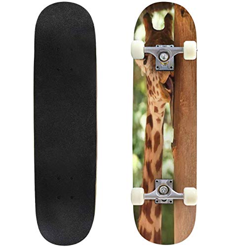 Buy Classic Concave Skateboard A Funny Giraffe Licking a Tree Longboard Maple Deck Extreme Sports an...