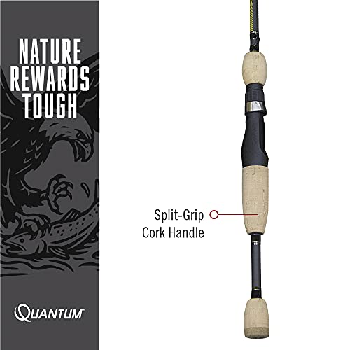 Quantum Qx36 Spinning Fishing Rod, 6-Foot 6-Inch 1-Piece Im7 Graphite Fishing Pole, Split-Grip Cork Handle, Dynaflow Aluminum-Oxide Guides, Fast Action, Medium Power, Silver #TOP2