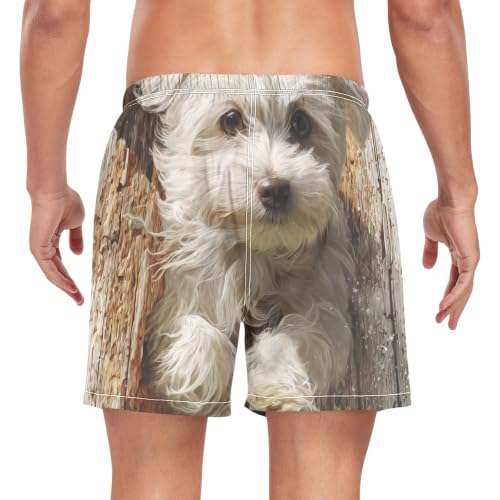 Traje de baño de secado rápido para hombre con estampado 3D de perro maltés 2