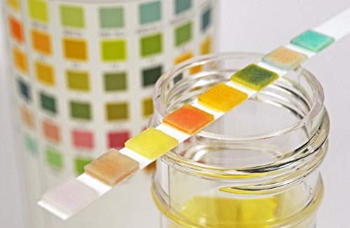 25 x Urine Test Strips 10 Parameter Urinalysis Testing Kit Multisticks Urine Strip Stick - pH, Glucose, Ketone, Liver, Kidney & UTI