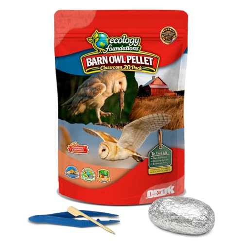 Image of Barn Owl Pellets for Dissection for Classrooms, Small 20-Pack Kit by OBDK | Forceps, picks and instructor guide included, life science and ecology, bone sorting chart, hands-on lab activity