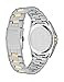 Citizen Quartz Mens Watch, Stainless Steel, Classic, Two-Tone (Model: BF0584-56E)