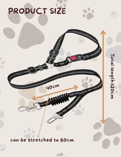 OFFAXE Hundegurt fürs Auto 2er Set – Elastischer Anschnallgurt mit 2-Punkt-Sicherung, Reflektierend & Stoßdämpfer, Universell für alle Autos & Hunde