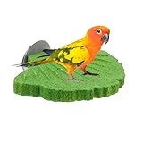 Montage sans outils: Conçu pour une fixation simple et rapide sur toute cage, ce perchoir pour oiseaux ne nécessite aucun outil compliqué. Idéal pour les passionnés lors du nettoyage, de l'entretien ou du réaménagement de l'environnement de leur oiseau.
