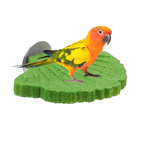 Grattoir de nettoyage en acier inoxydable, profil télescopique longitudinal, 14 x 9 x 60 cm, mécanisme de récurage amovible à plusieurs têtes, coque rigide en synthétique, outil d'aquarium