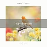  Aves y Ruidos de la Naturaleza para Controlar Ansiedad