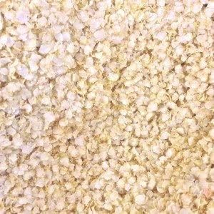 Wholefood Earth Organic Quinoa Flakes  1 kg | GMO Free | Vegan | Source of Fibre | Certified Organic